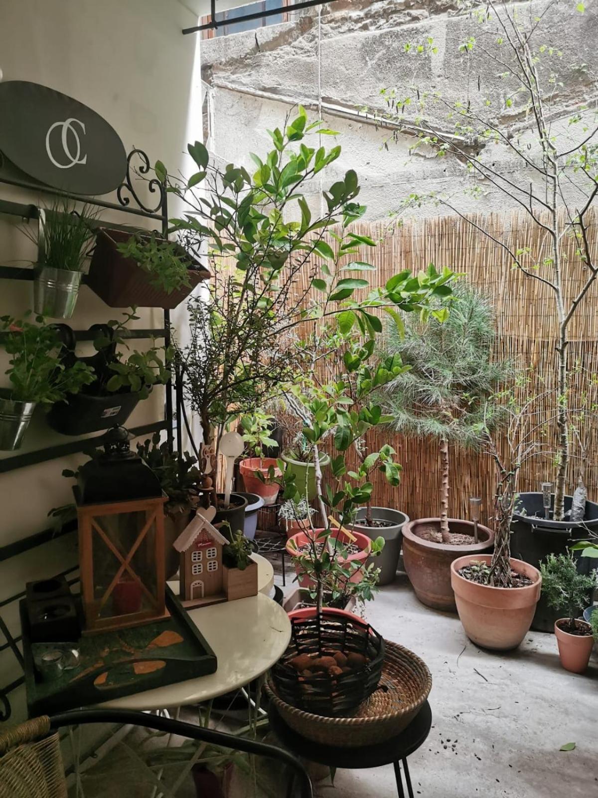 La Maison D'Aromarie トゥールニュ エクステリア 写真